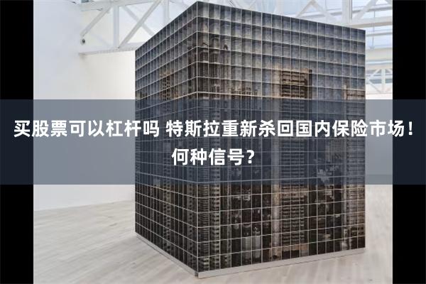 买股票可以杠杆吗 特斯拉重新杀回国内保险市场！何种信号？