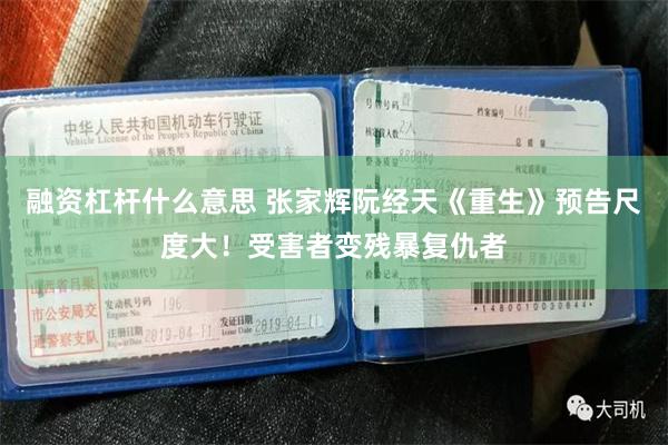 融资杠杆什么意思 张家辉阮经天《重生》预告尺度大！受害者变残暴复仇者