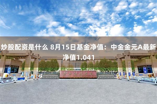 炒股配资是什么 8月15日基金净值：中金金元A最新净值1.041