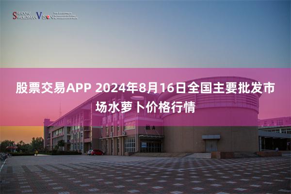 股票交易APP 2024年8月16日全国主要批发市场水萝卜价格行情