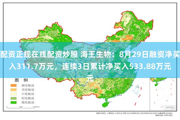 配资正规在线配资炒股 海王生物：8月29日融资净买入311.7万元，连续3日累计净买入533.88万元