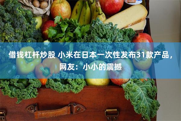 借钱杠杆炒股 小米在日本一次性发布31款产品，网友：小小的震撼