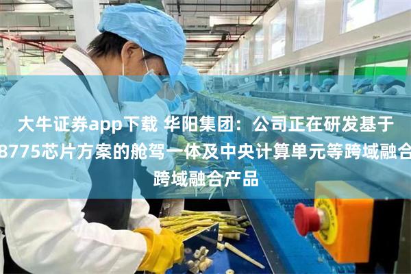 大牛证券app下载 华阳集团：公司正在研发基于高通8775芯片方案的舱驾一体及中央计算单元等跨域融合产品