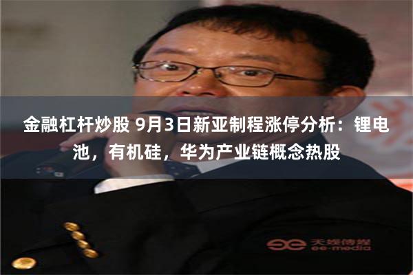 金融杠杆炒股 9月3日新亚制程涨停分析：锂电池，有机硅，华为产业链概念热股