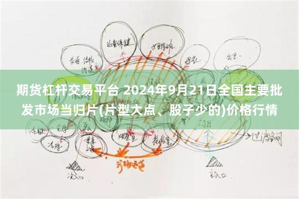 期货杠杆交易平台 2024年9月21日全国主要批发市场当归片(片型大点、股子少的)价格行情