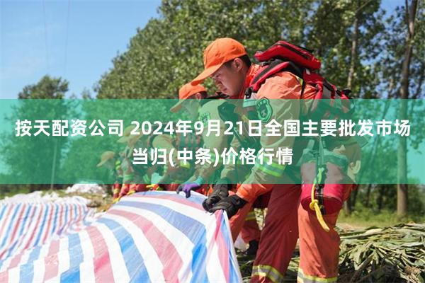 按天配资公司 2024年9月21日全国主要批发市场当归(中条)价格行情