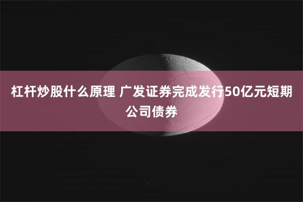 杠杆炒股什么原理 广发证券完成发行50亿元短期公司债券