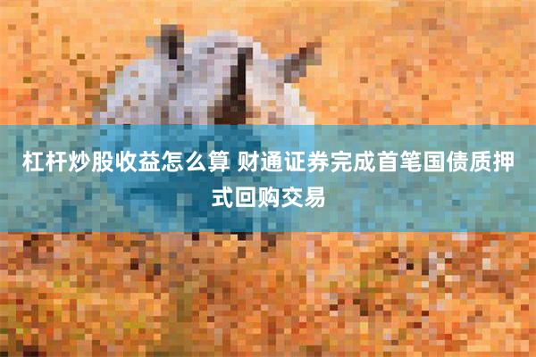 杠杆炒股收益怎么算 财通证券完成首笔国债质押式回购交易