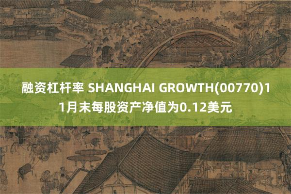 融资杠杆率 SHANGHAI GROWTH(00770)11月末每股资产净值为0.12美元