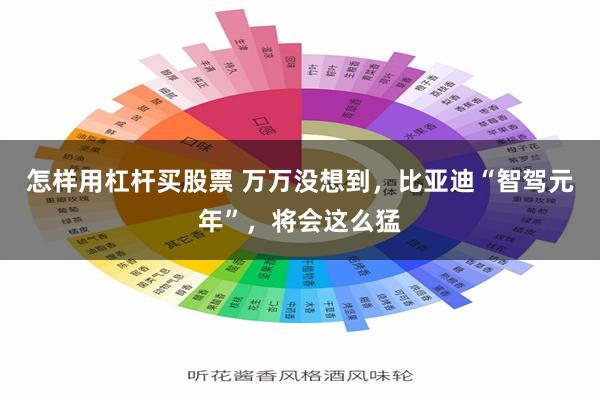 怎样用杠杆买股票 万万没想到，比亚迪“智驾元年”，将会这么猛