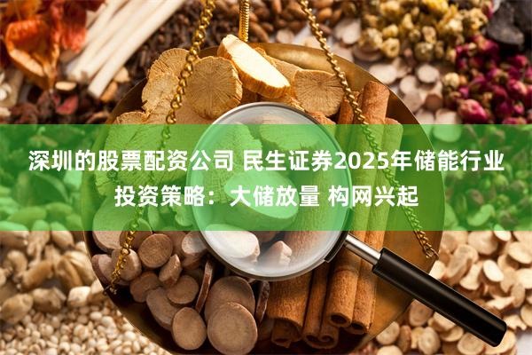 深圳的股票配资公司 民生证券2025年储能行业投资策略：大储放量 构网兴起