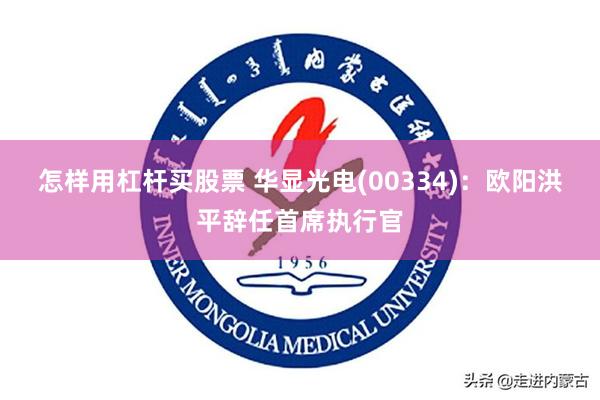 怎样用杠杆买股票 华显光电(00334)：欧阳洪平辞任首席执行官