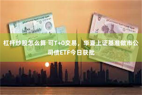 杠杆炒股怎么算 可T+0交易，华夏上证基准做市公司债ETF今日获批