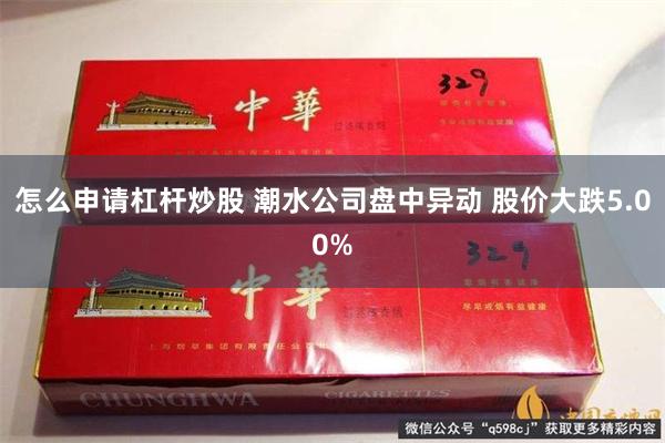 怎么申请杠杆炒股 潮水公司盘中异动 股价大跌5.00%