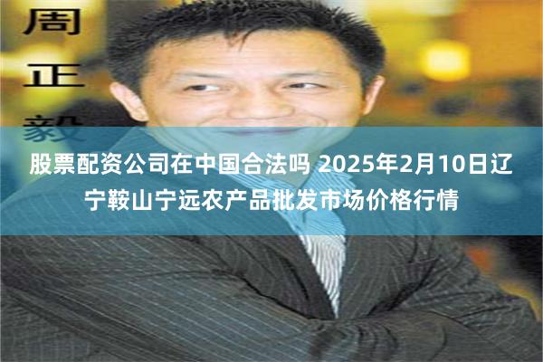 股票配资公司在中国合法吗 2025年2月10日辽宁鞍山宁远农产品批发市场价格行情