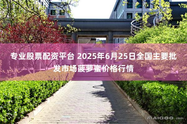 专业股票配资平台 2025年6月25日全国主要批发市场菠萝蜜价格行情
