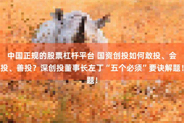中国正规的股票杠杆平台 国资创投如何敢投、会投、善投？深创投董事长左丁“五个必须”要诀解题！