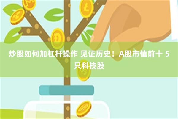 炒股如何加杠杆操作 见证历史！A股市值前十 5只科技股