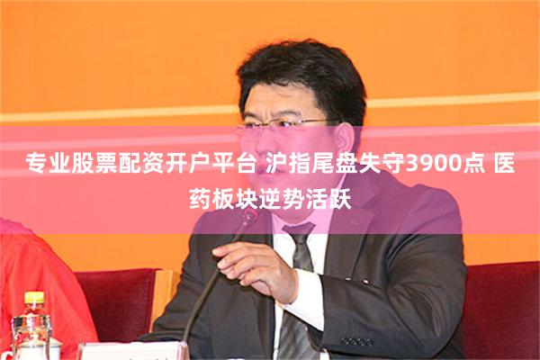 专业股票配资开户平台 沪指尾盘失守3900点 医药板块逆势活跃