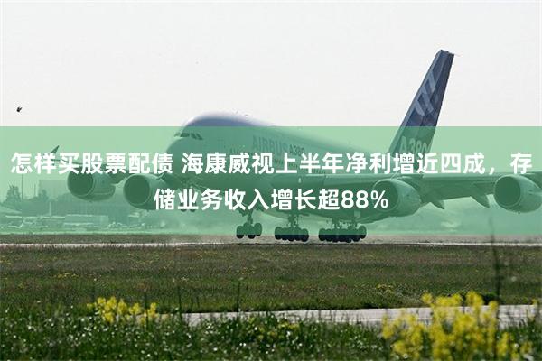 怎样买股票配债 海康威视上半年净利增近四成，存储业务收入增长超88%