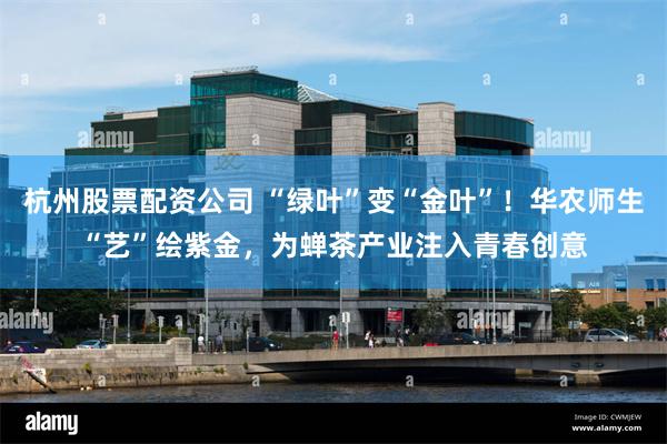 杭州股票配资公司 “绿叶”变“金叶”！华农师生“艺”绘紫金，为蝉茶产业注入青春创意