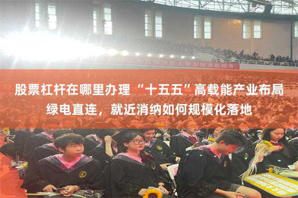 股票杠杆在哪里办理 “十五五”高载能产业布局绿电直连，就近消纳如何规模化落地