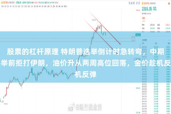 股票的杠杆原理 特朗普选举倒计时急转弯，中期选举前拒打伊朗，油价升从两周高位回落，金价趁机反弹